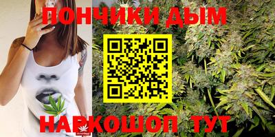 шишки Бузулук