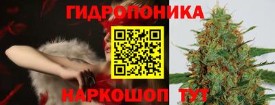 шишки Бузулук