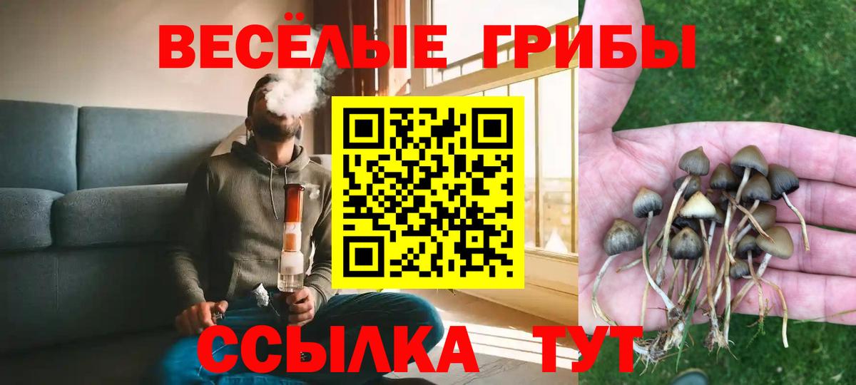 Псилоцибиновые грибы Magic Shrooms  Галлюциногенные грибы Psilocybe  Новочеркасск  Вход с VPN 
